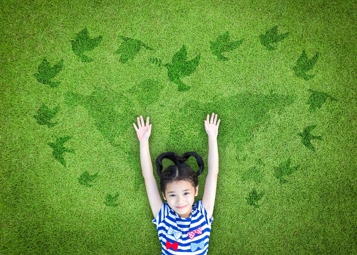 Meadow Montessori in Richmond, TX, discusses the importance of peace education.