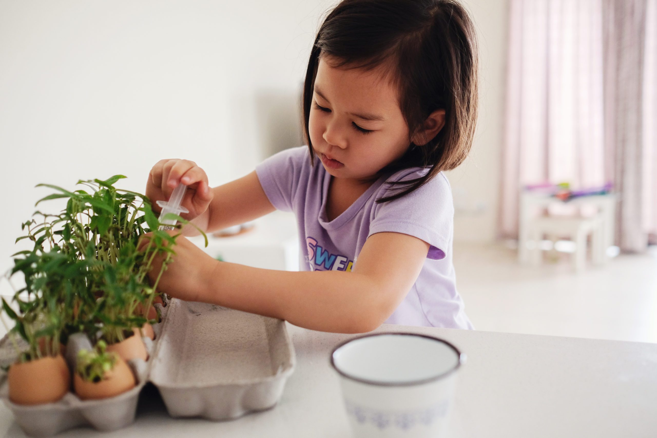 A child using a syringe to water plants in egg shells