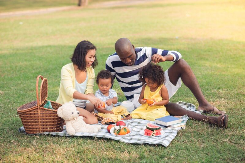 Family having a picnic outdoors