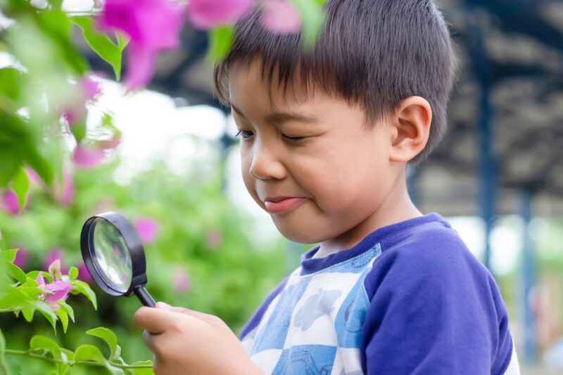 Seasonal Learning